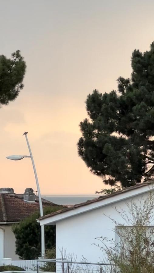 Renove A 300m De La Appartement